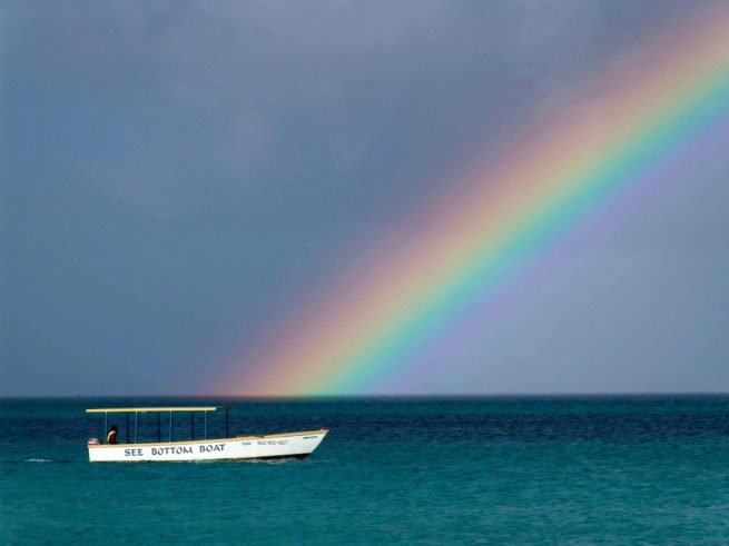 gomaggie_coach_voyages_travel_planner