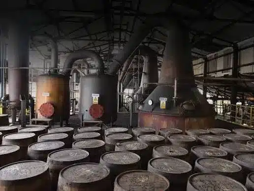 dégustation de rhum vieilli dans la distillerie jamaïcaine Hampden