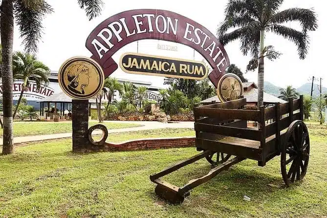 distillerie de rhum_Appleton