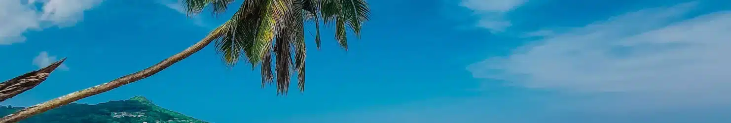 plage ensoleillée en Jamaïque, climat tropical