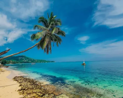 plage ensoleillée en Jamaïque, climat tropical plage ensoleillée en Jamaïque, climat tropical